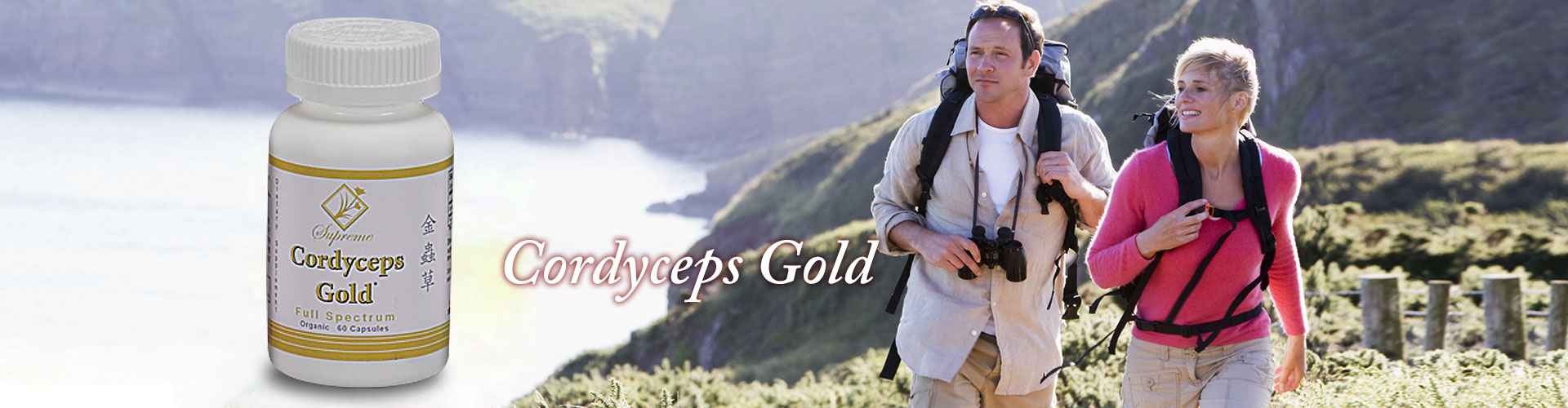 cordyceps gold